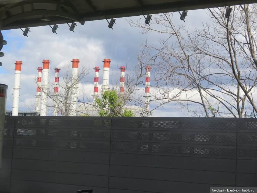 В Коломенское большой компанией (фото 2)