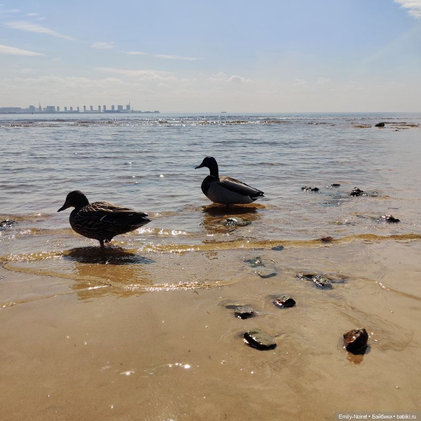 Набережная у Лахты — Туризм и путешествия: фотоотчеты из поездок