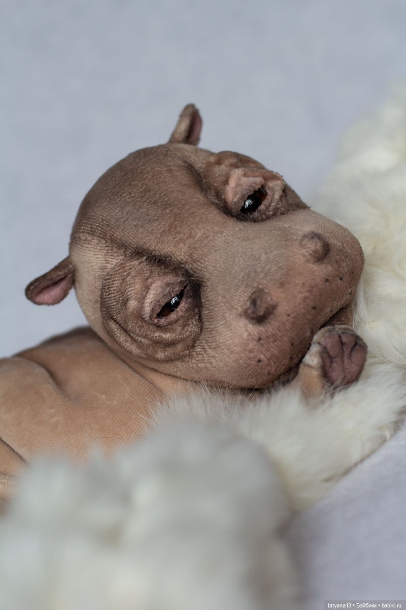 Бегемотя Мотя — Авторские мишки Тедди и друзья: фото (фото 8)