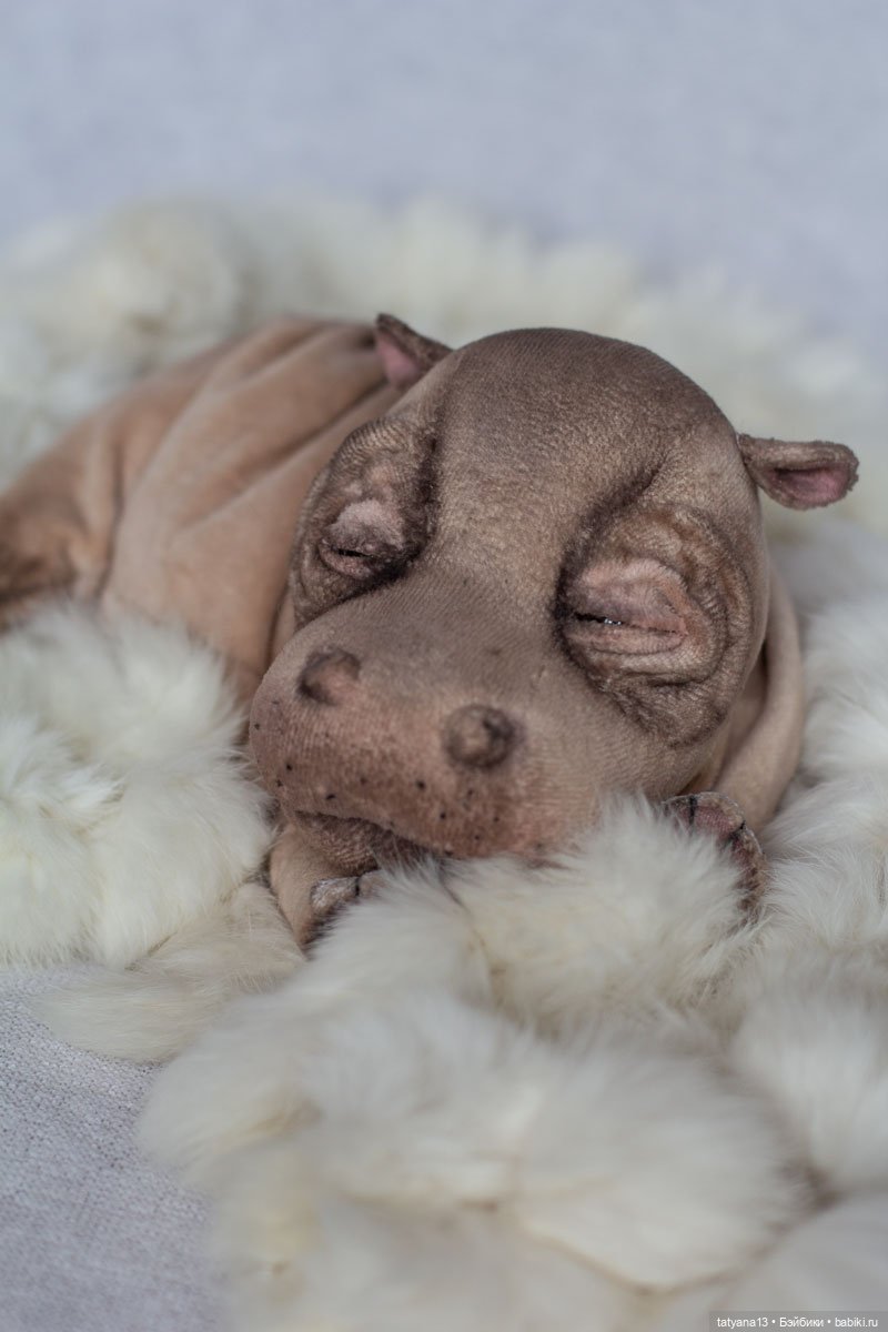 Бегемотя Мотя — Авторские мишки Тедди и друзья: фото (фото 7)