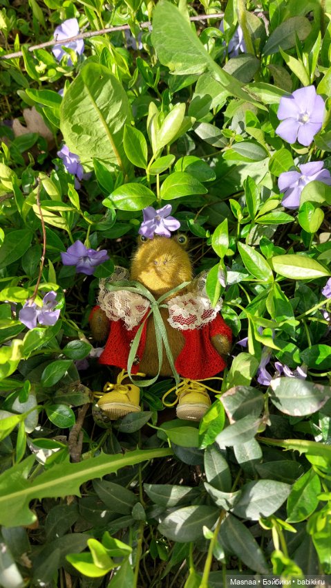 К нам приехал, к нам приехал Жорджик дорогой (фото 2)