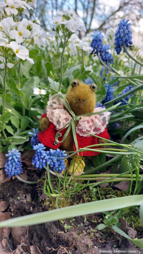 К нам приехал, к нам приехал Жорджик дорогой (фото 4)