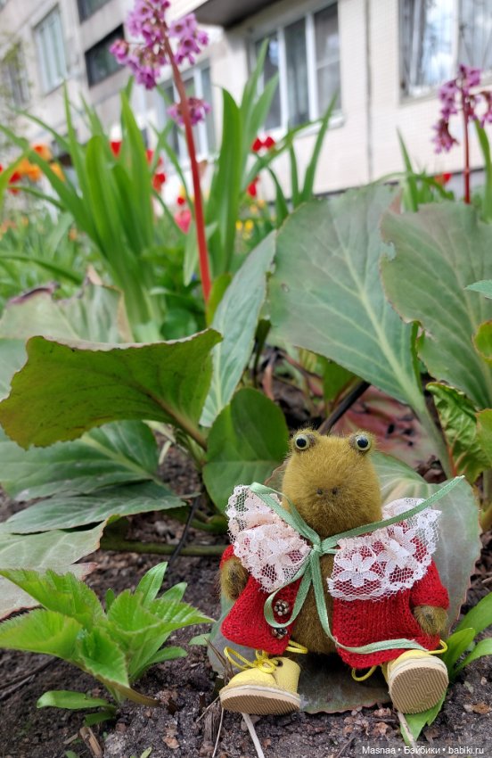 К нам приехал, к нам приехал Жорджик дорогой (фото 8)