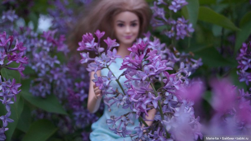 Моя Гермиона-Эмма. Часть первая. Прогулка