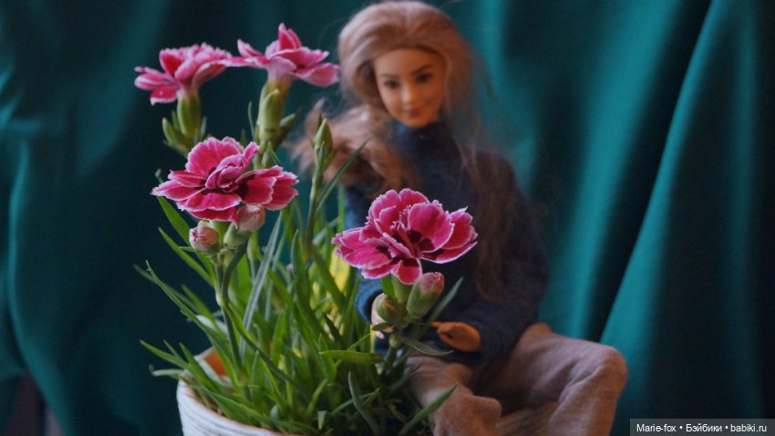 В саду цветов — Куклы Harry Potter (Гарри Поттер) Mattel: Wizarding World (фото 9)