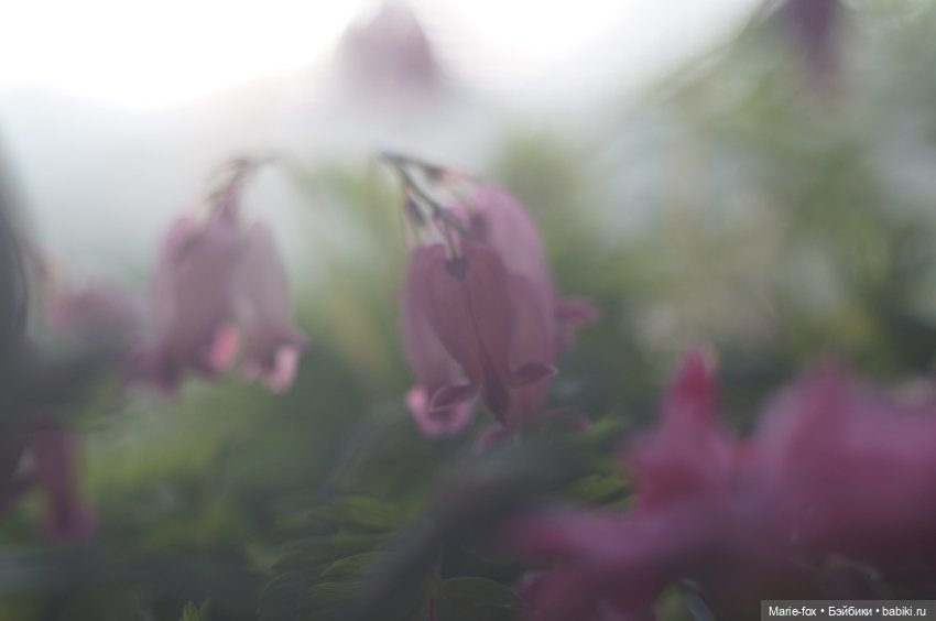 В саду цветов — Куклы Harry Potter (Гарри Поттер) Mattel: Wizarding World (фото 6)