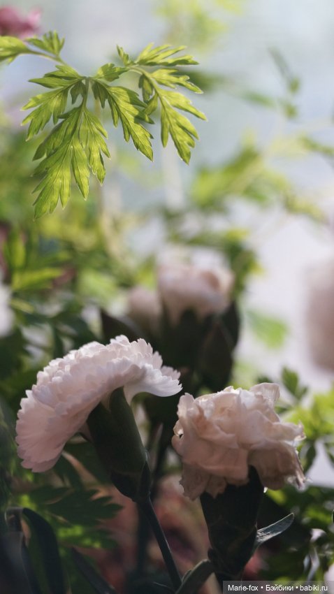 В саду цветов — Куклы Harry Potter (Гарри Поттер) Mattel: Wizarding World