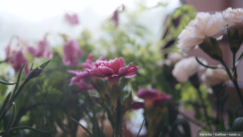 В саду цветов — Куклы Harry Potter (Гарри Поттер) Mattel: Wizarding World