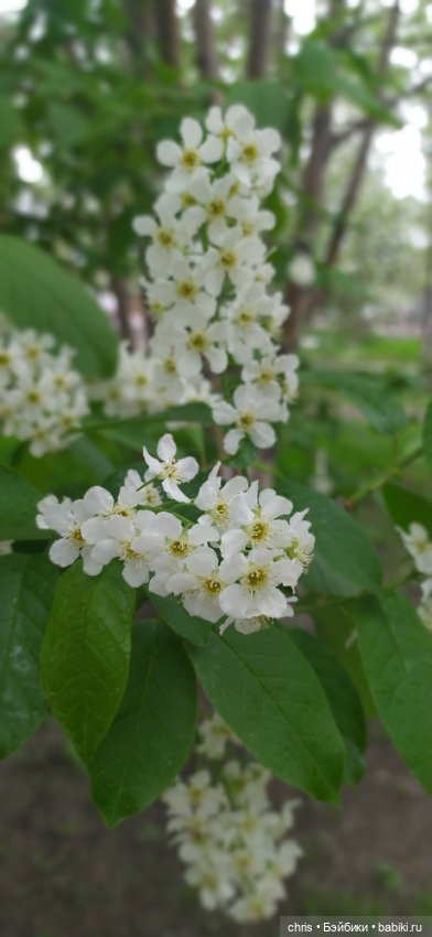 Весенний Пеннивайз — Коллекционные экшн (фото 9)