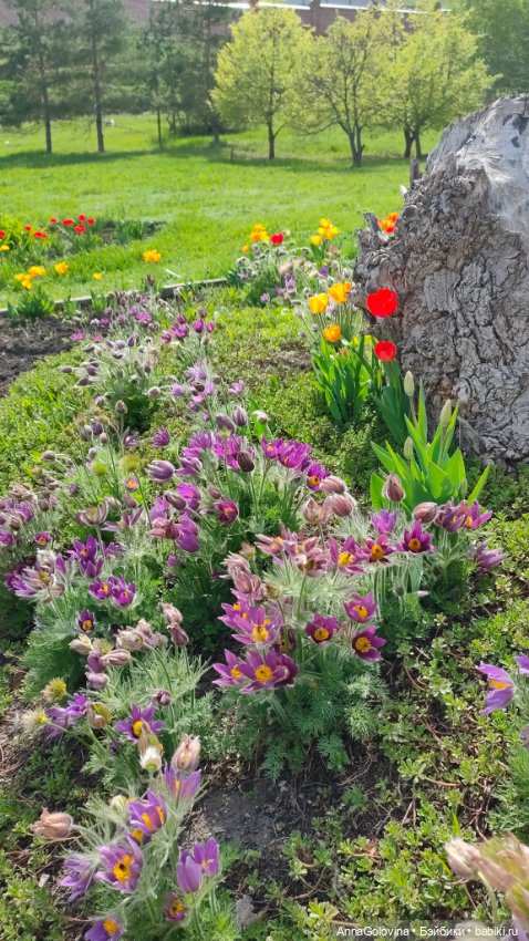 Радоница...Саратов.. 14 мая 2024г (фото 10)