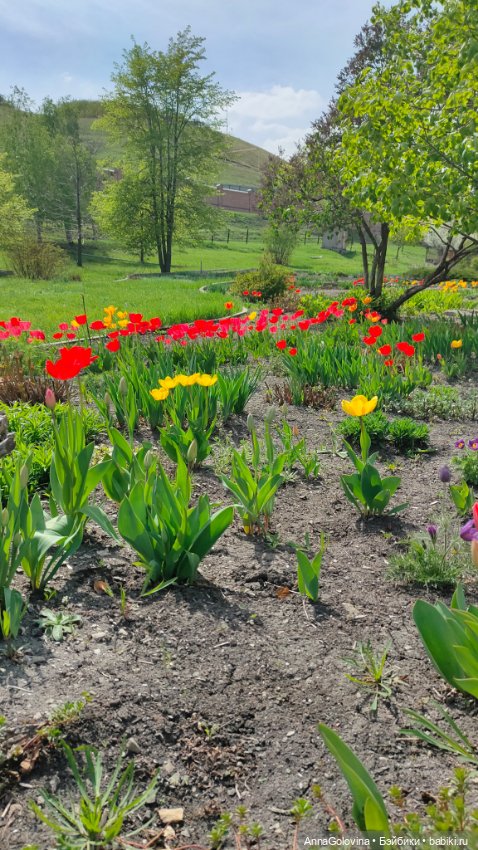 Радоница...Саратов.. 14 мая 2024г