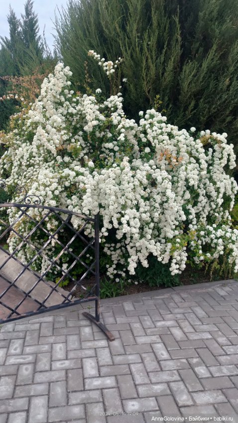 Радоница...Саратов.. 14 мая 2024г (фото 2)