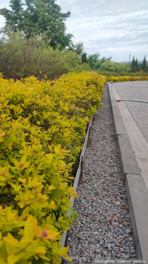 Радоница...Саратов.. 14 мая 2024г (фото 7)