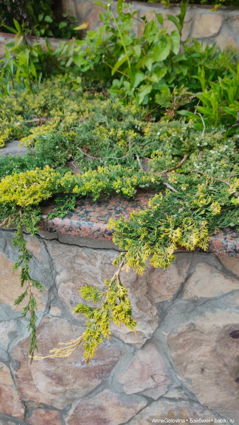 Радоница...Саратов.. 14 мая 2024г (фото 6)