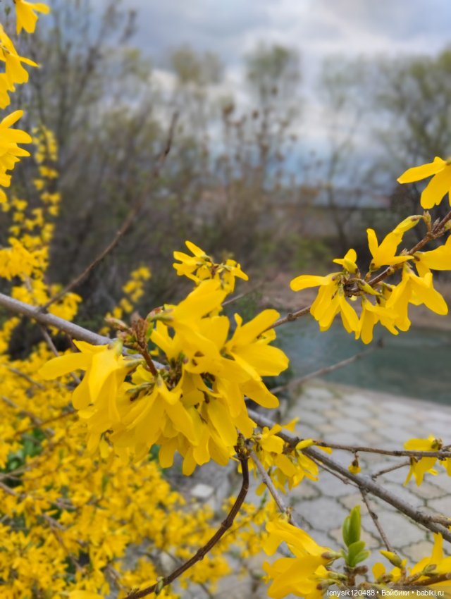 Весна в нашем городе — Одежда и обувь для кукол своими руками: фото (фото 4)
