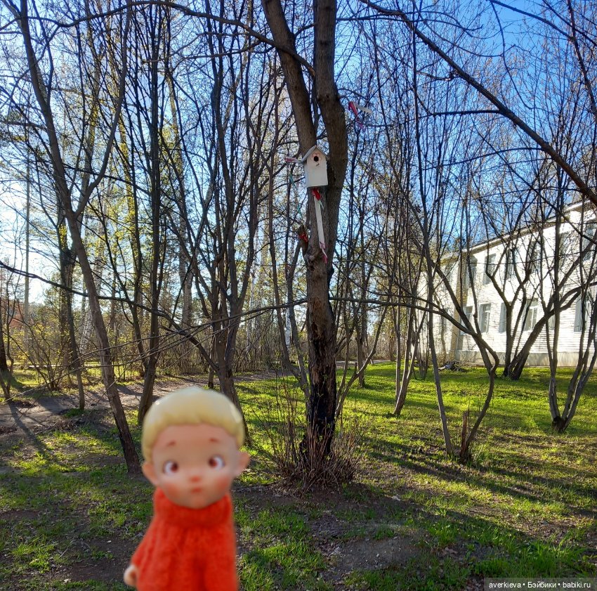 Крайняя прогулка Саньки — Азиатские виниловые куклы (разное): Китай