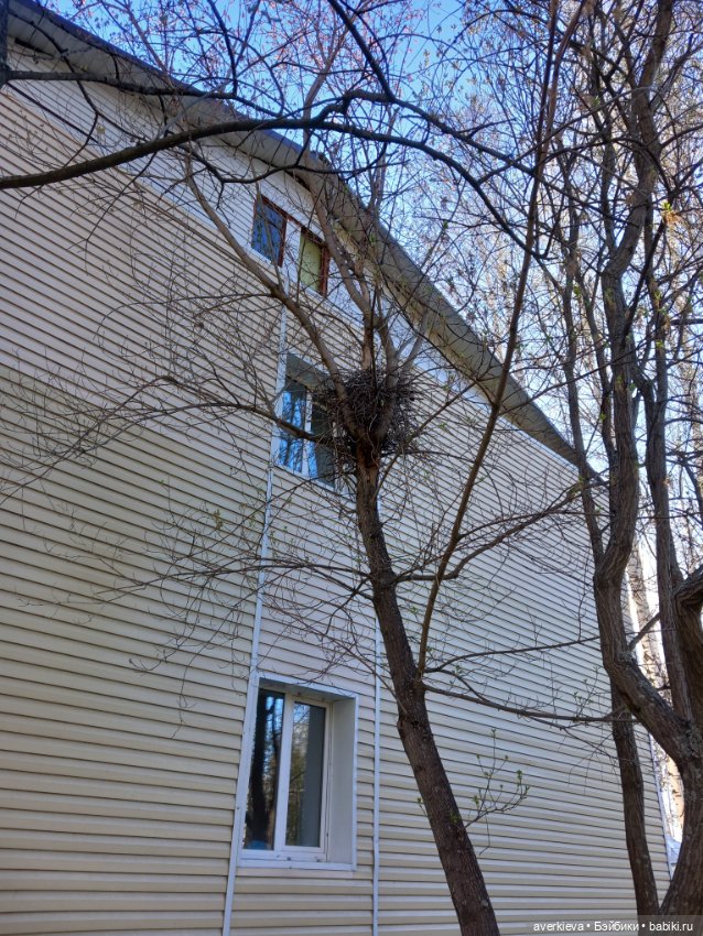 Крайняя прогулка Саньки — Азиатские виниловые куклы (разное): Китай (фото 10)