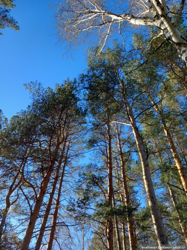 Крайняя прогулка Саньки — Азиатские виниловые куклы (разное): Китай