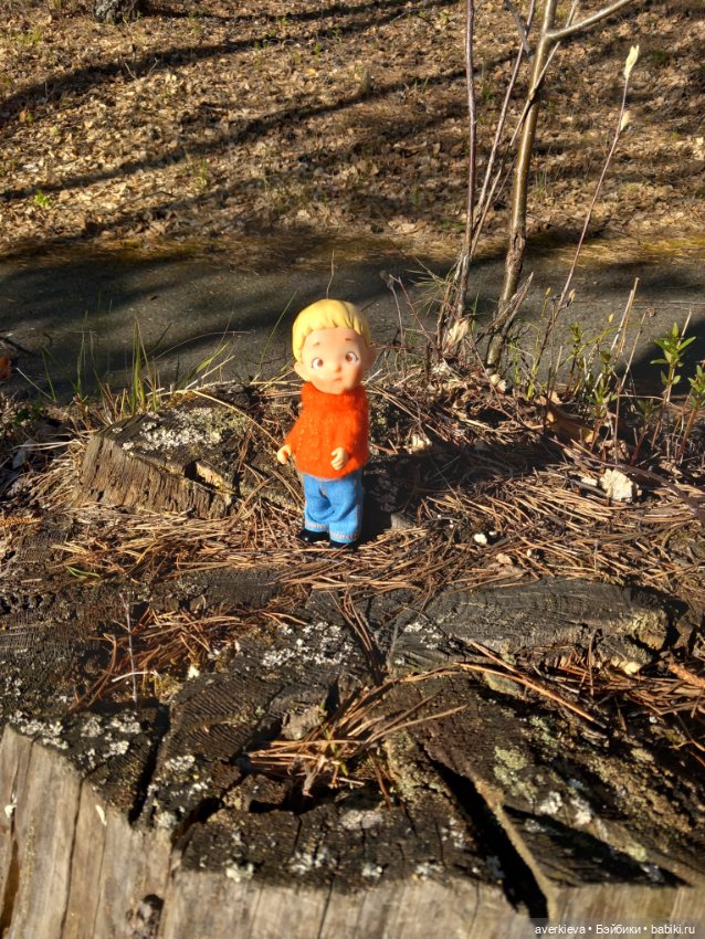 Крайняя прогулка Саньки — Азиатские виниловые куклы (разное): Китай (фото 8)