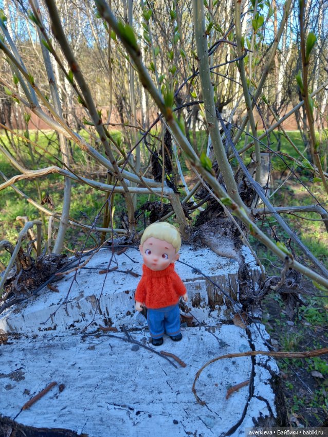 Крайняя прогулка Саньки — Азиатские виниловые куклы (разное): Китай