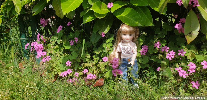 Горы море и немного кукол