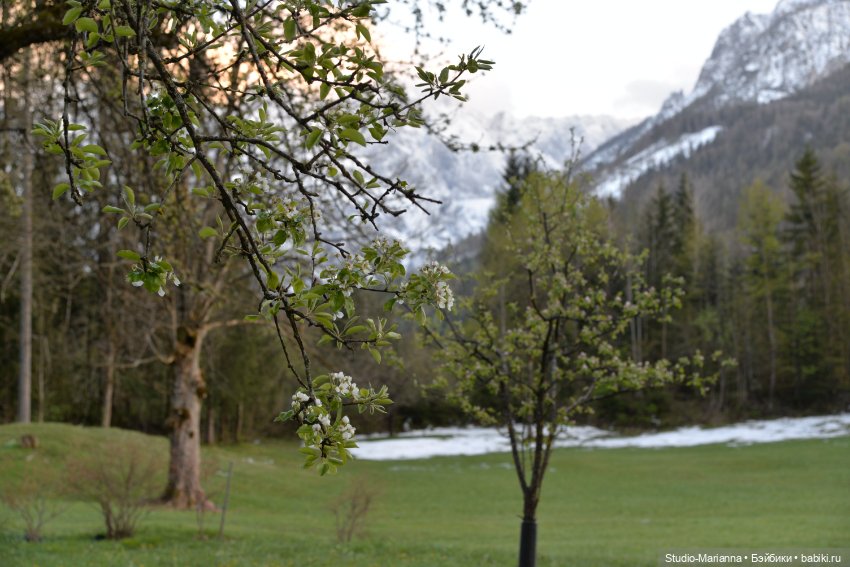 Горы море и немного кукол (фото 2)