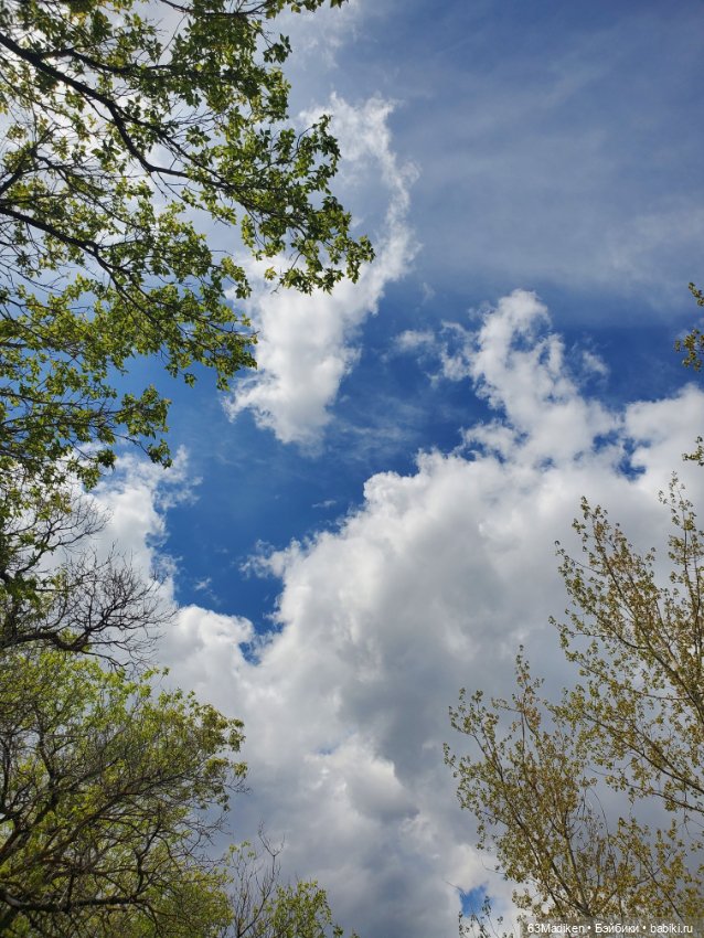 Саши и... стихи про лягушат (фото 2)