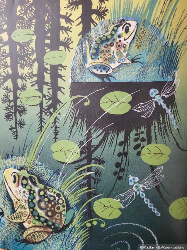 Саши и... стихи про лягушат (фото 5)