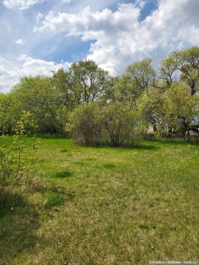 Саши и... стихи про лягушат (фото 3)