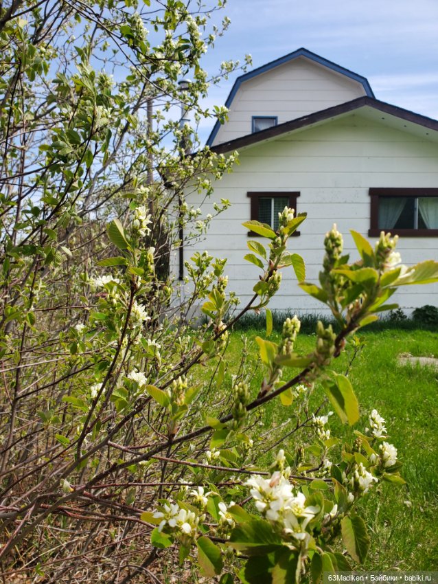 Саши и... стихи про лягушат (фото 4)