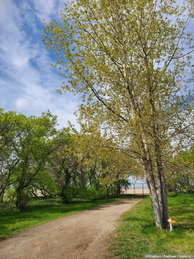 Саши и... стихи про лягушат (фото 8)