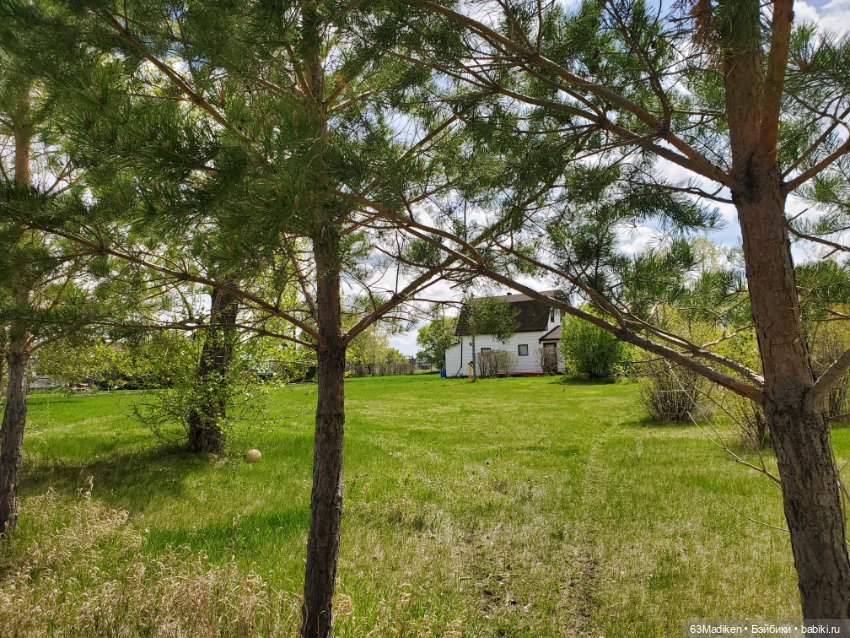 Саши и... стихи про лягушат (фото 10)