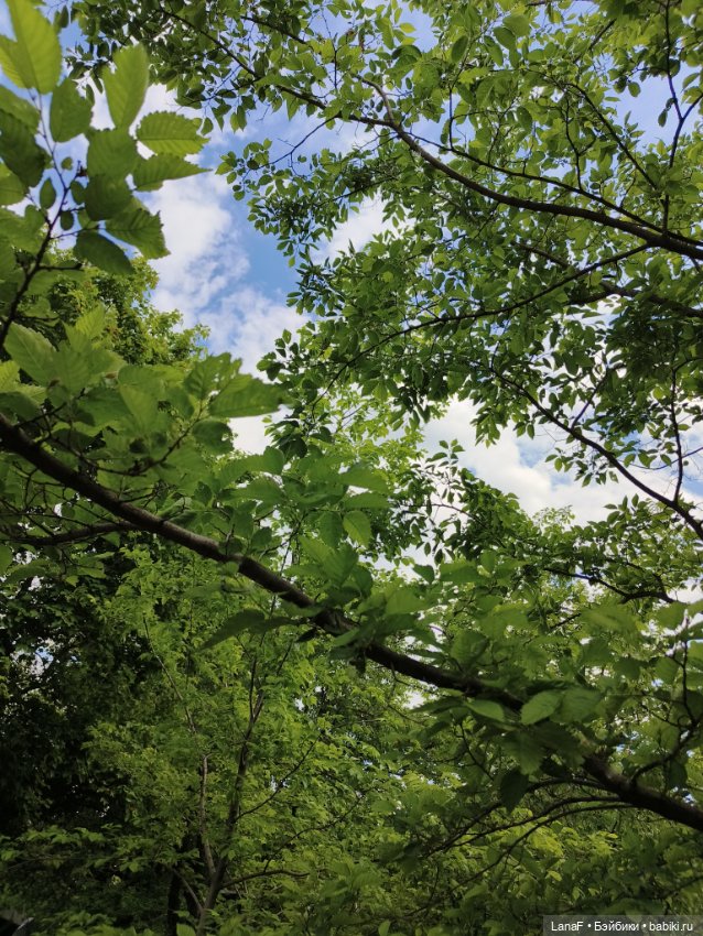 Майский солнечный день...Элинкины прогулки (мини Адора Друзья Сэнди mini Adora)