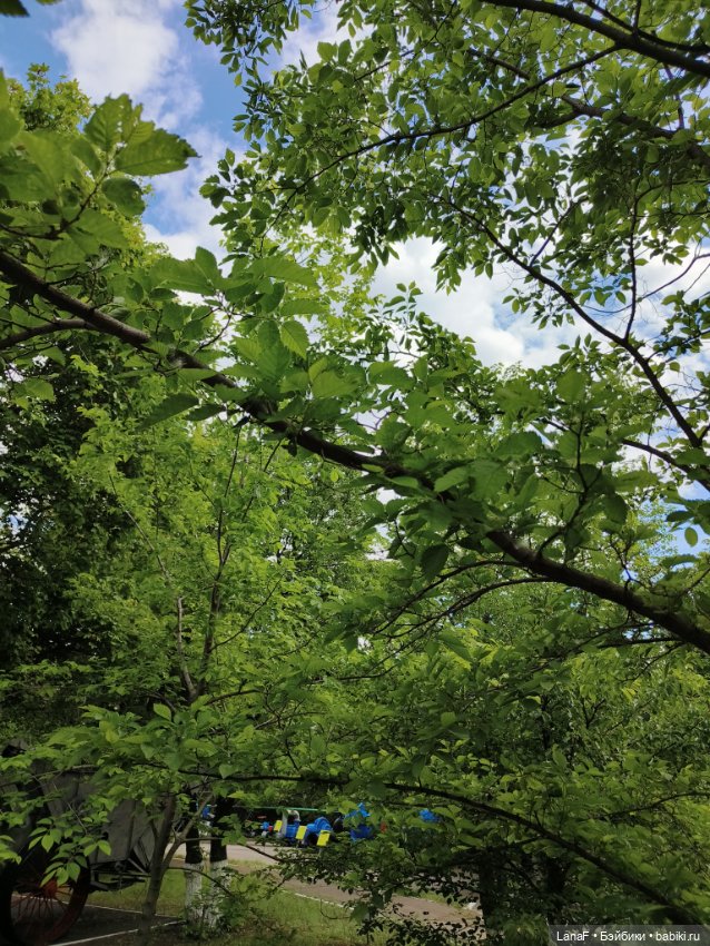 Майский солнечный день...Элинкины прогулки (мини Адора Друзья Сэнди mini Adora)