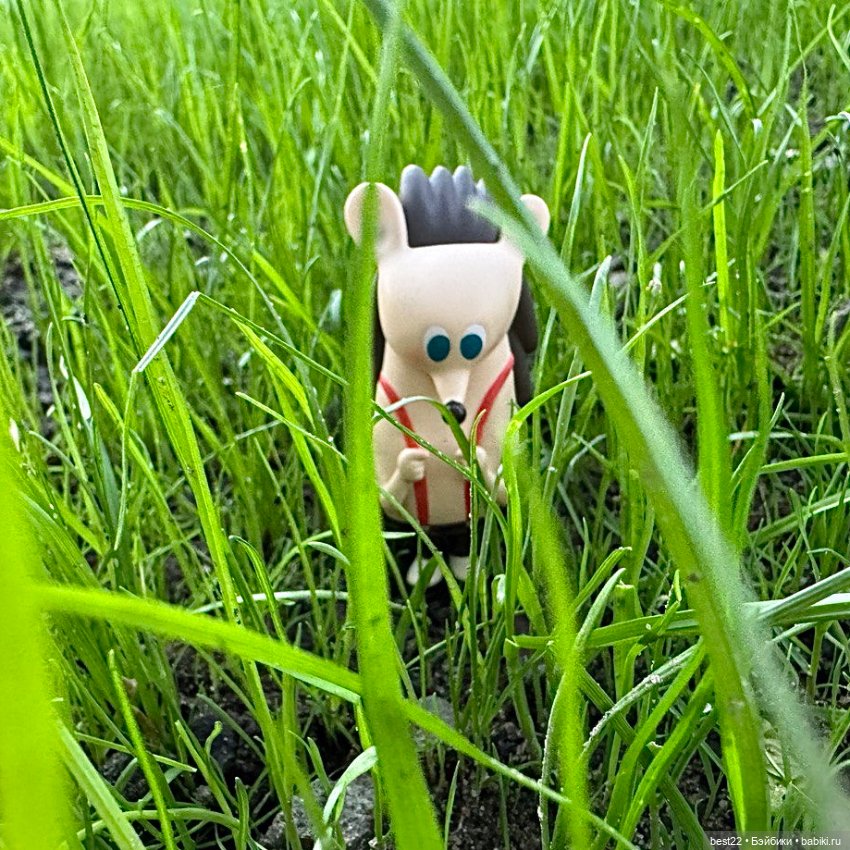 Ёжик Harry — Фигурки Pop Mart (Поп Март): Blind Box (фото 8)