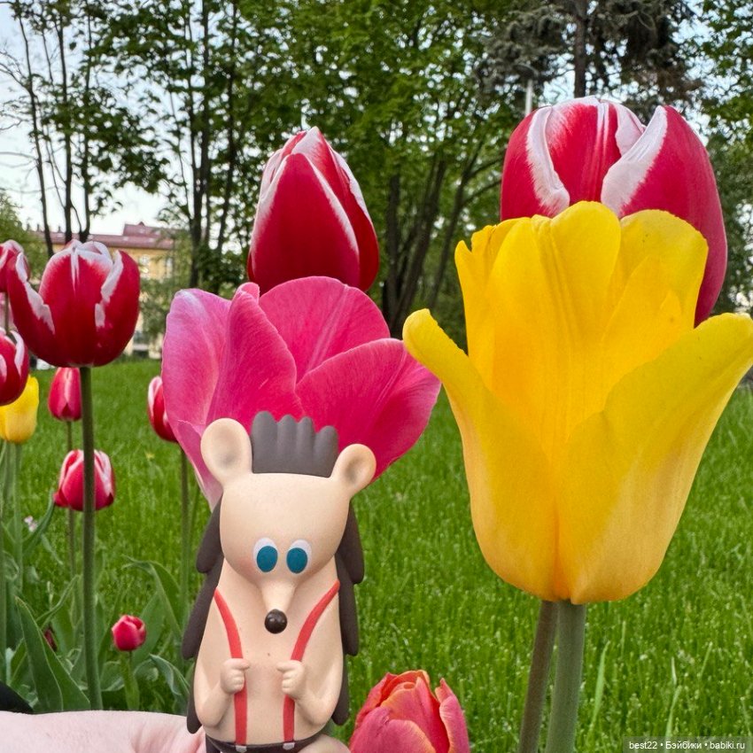 Ёжик Harry — Фигурки Pop Mart (Поп Март): Blind Box (фото 9)