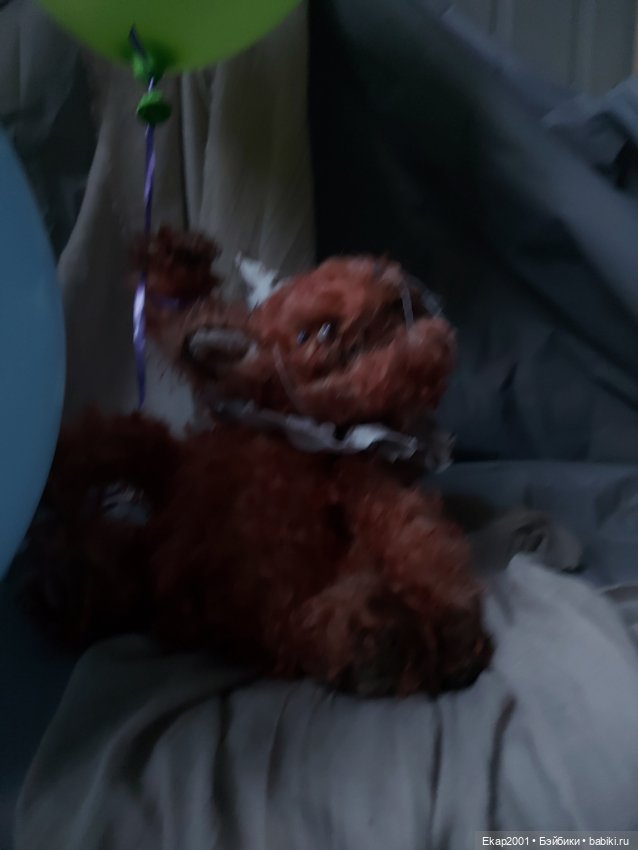 Марсель — Текстильные игрушки и примитивы: кофейные (фото 2)