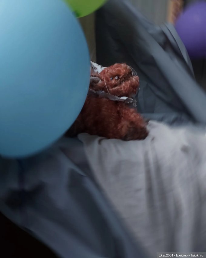 Марсель — Текстильные игрушки и примитивы: кофейные (фото 10)