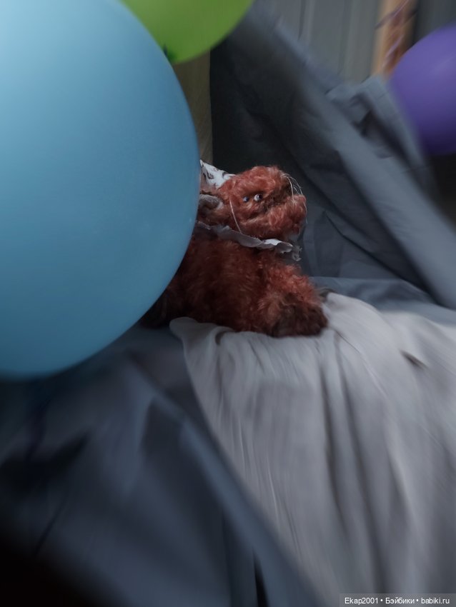 Марсель — Текстильные игрушки и примитивы: кофейные