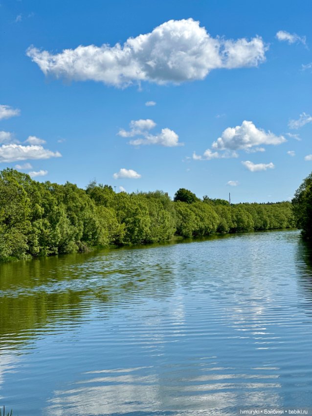 Ноэлия Златовласка ✨✨✨☀️ — Куклы Paola Reina (Паола Рейна): новинки