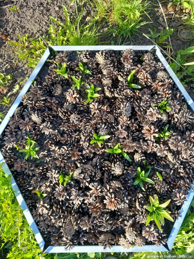 Феликс — Игровые куклы разных производителей (Разное): редкие бренды