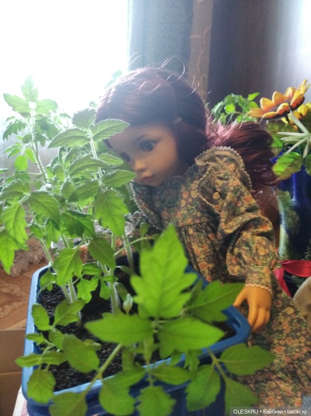 Подготовка к даче — Интересное и необычное: фотоподборки (фото 3)