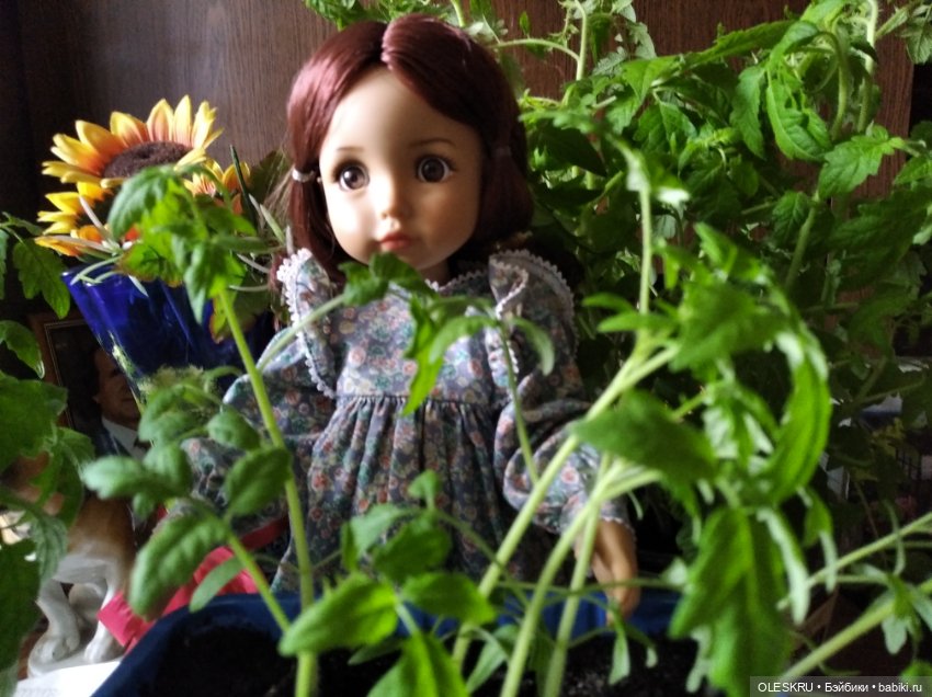 Подготовка к даче — Интересное и необычное: фотоподборки (фото 2)