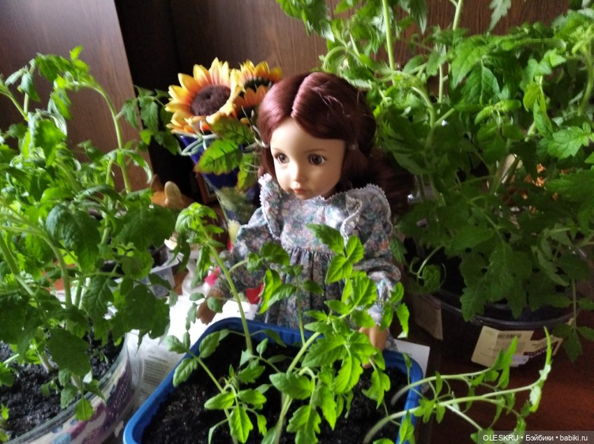 Подготовка к даче — Интересное и необычное: фотоподборки