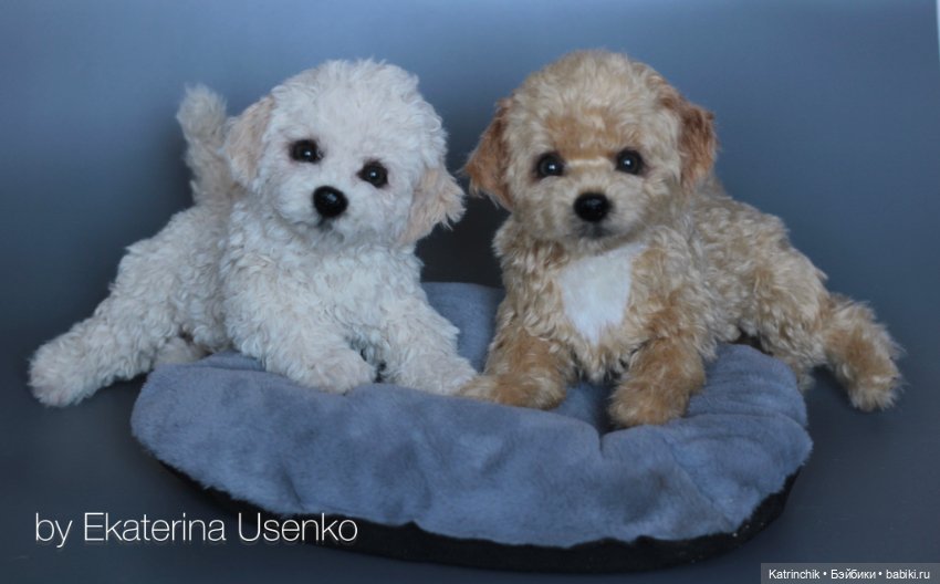 Щенки мальтипу — Авторские мишки Тедди и друзья: фото (фото 7)