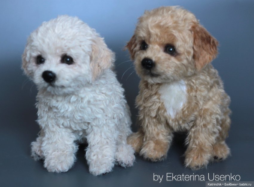 Щенки мальтипу — Авторские мишки Тедди и друзья: фото (фото 4)