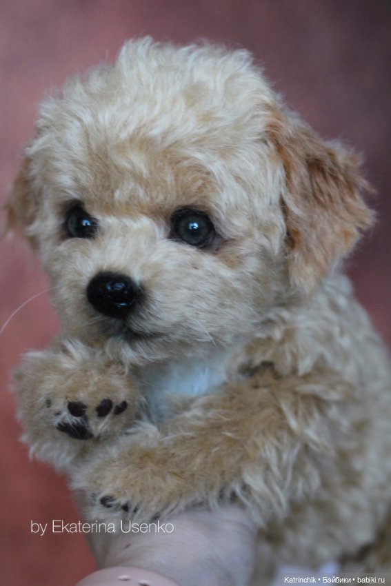 Щенки мальтипу — Авторские мишки Тедди и друзья: фото