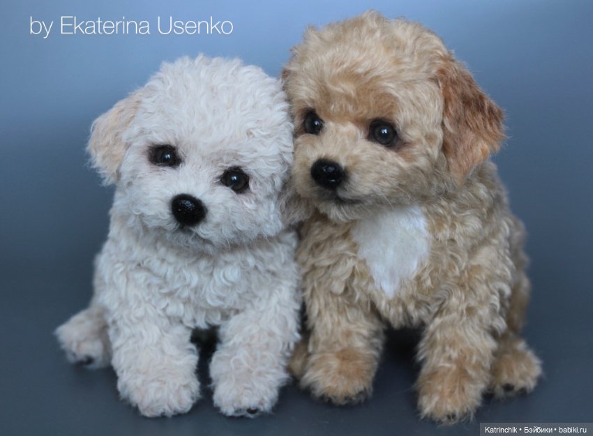 Щенки мальтипу — Авторские мишки Тедди и друзья: фото (фото 2)