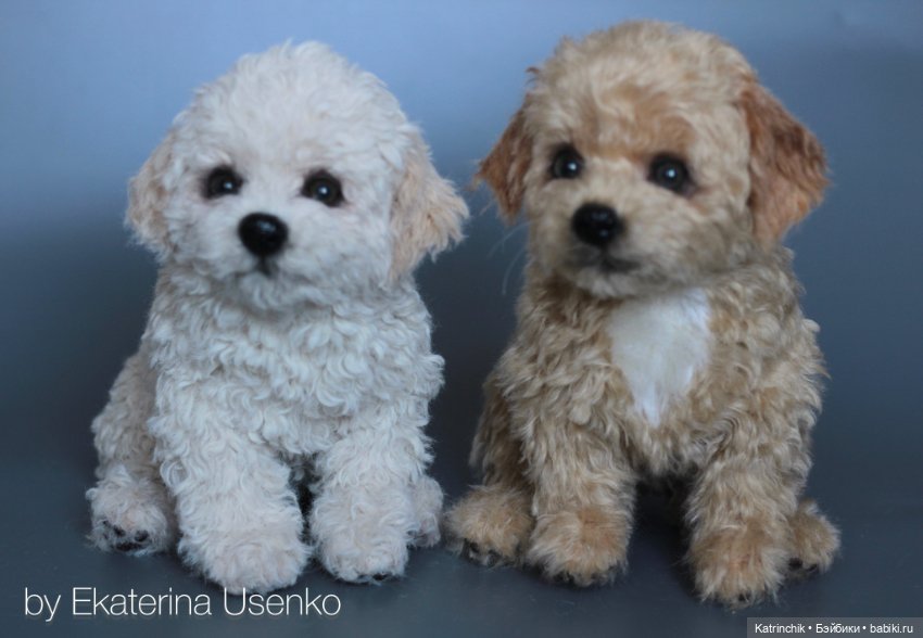 Щенки мальтипу — Авторские мишки Тедди и друзья: фото (фото 3)