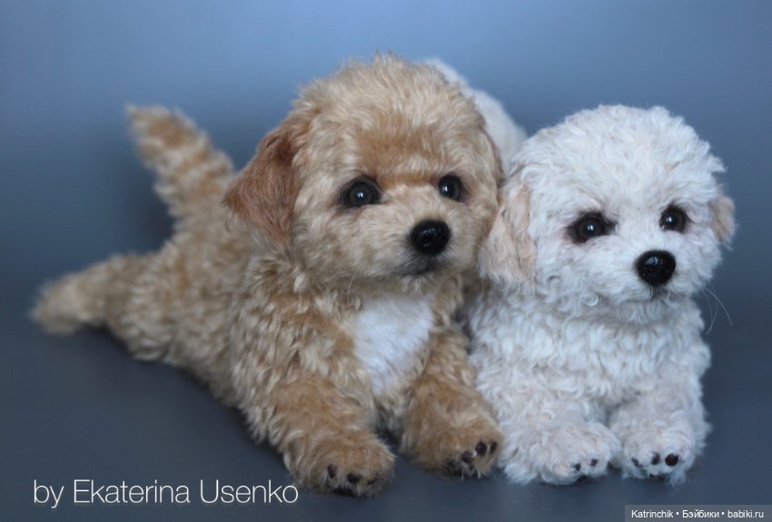 Щенки мальтипу — Авторские мишки Тедди и друзья: фото (фото 6)